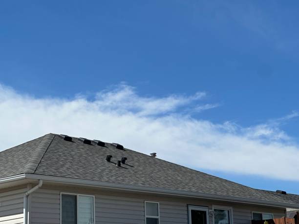 Best Roof Coating and Sealing  in New Franklin, MO